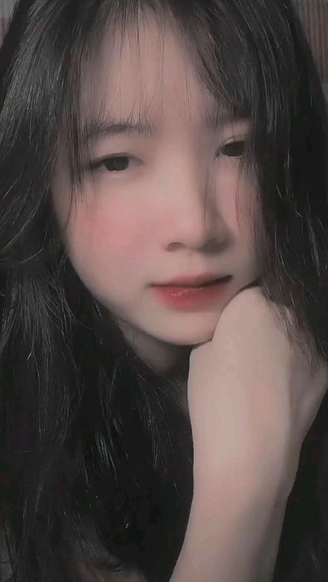 贞观之治免费观看50集